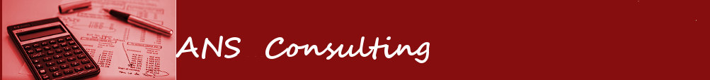 ans-consulting-cm.com